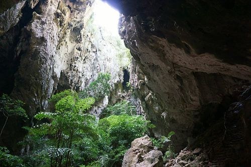 Grot in Thailand