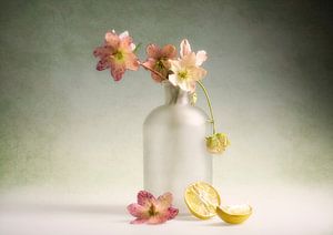 still life 102 by jejaka art