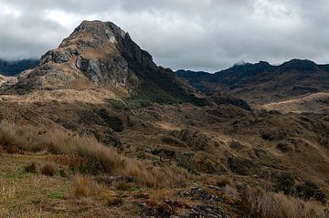 Ecuador: El Cajas National Park (Azuay) by Maarten Verhees