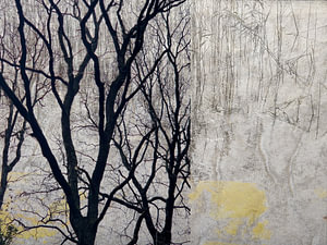 Into Nature #010