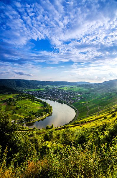 Kröv sur la Moselle depuis le Mont Royal en Allemagne par Ricardo Bouman Photographie