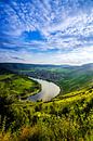 Kröv sur la Moselle depuis le Mont Royal en Allemagne par Ricardo Bouman Photographie Aperçu