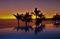 Sunset with palm trees