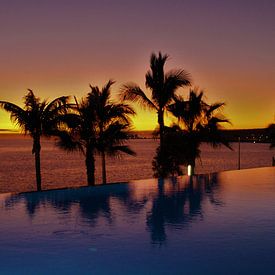 Sunset with palm trees by Marvin Taschik