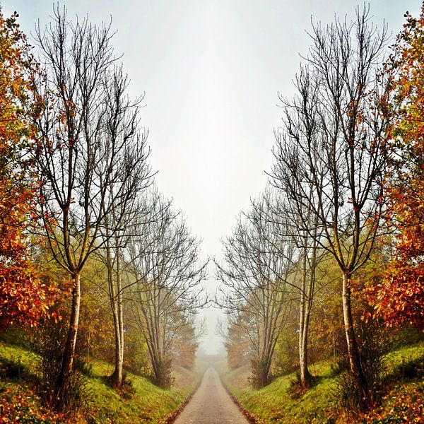 autumn coloured trees mixed media by Werner Lehmann