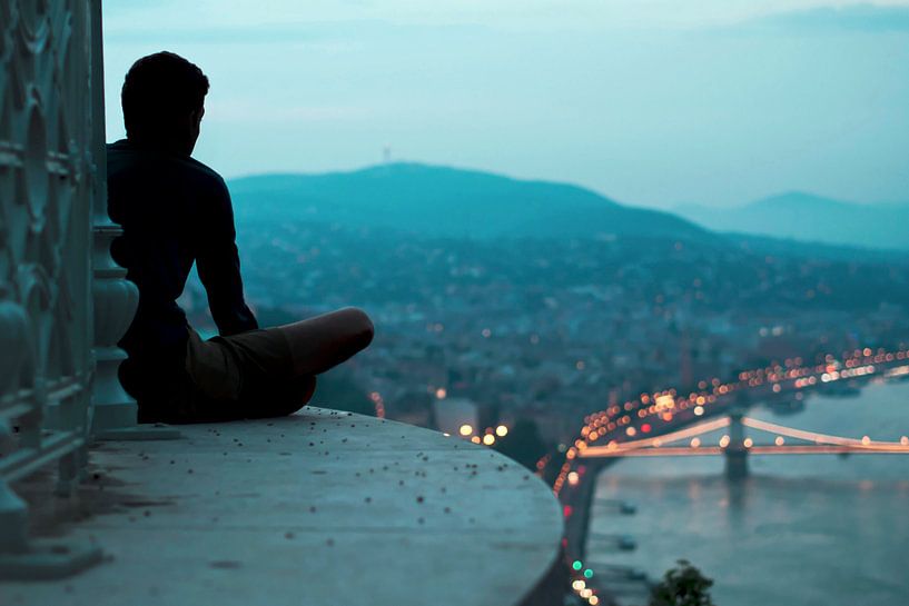 Silhouette near Budapest by Rutger van Loo