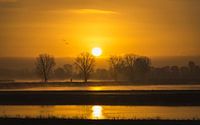 Zonsopkomst aan de Maas bij Overlangel von Jeffrey Van Zandbeek Miniaturansicht