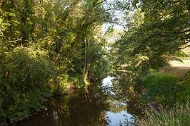 Dinkel rivier van Richard Wareham