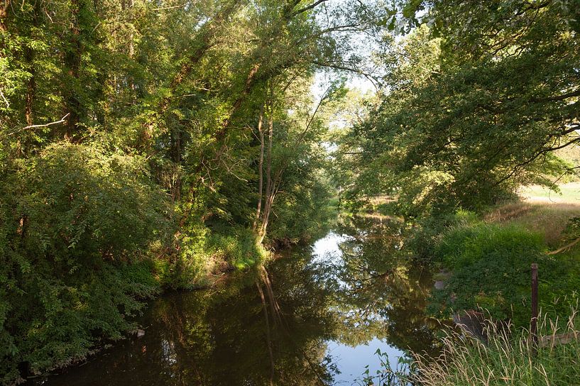 Dinkel river by Richard Wareham