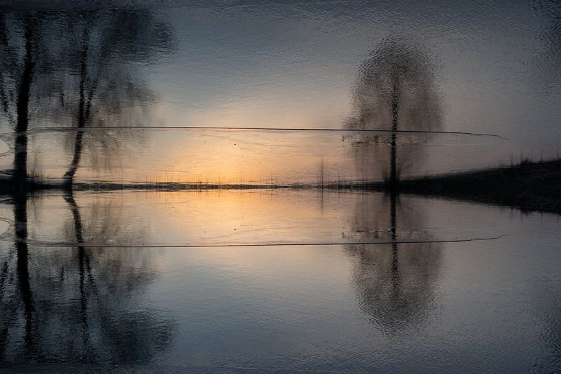 Reflection of sunlight and trees in the water 3 by Adriana Müller