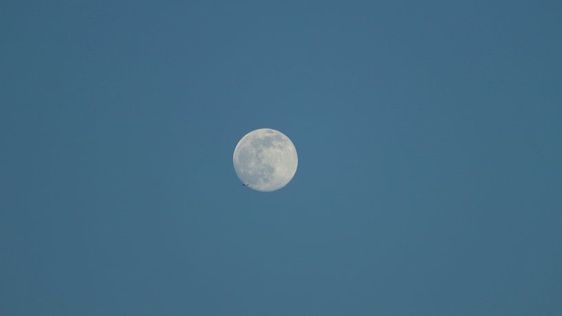 Volle maan van J De Leeuw