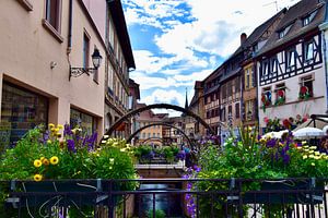 Colmar ist das Venedig des Nordens