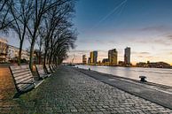 Rotterdam Skyline, zonsopkomst met uitzicht op Wilheminapier van Erik van 't Hof thumbnail