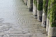 Pfähle im Wasser am Strand von Nicolette Vermeulen Miniaturansicht