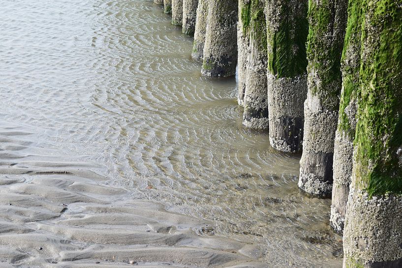 Pfähle im Wasser am Strand von Nicolette Vermeulen