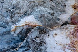 Versteend hout nr4 van Franke de Jong