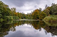 Die Farben des Herbstes von Jan Koppelaar Miniaturansicht