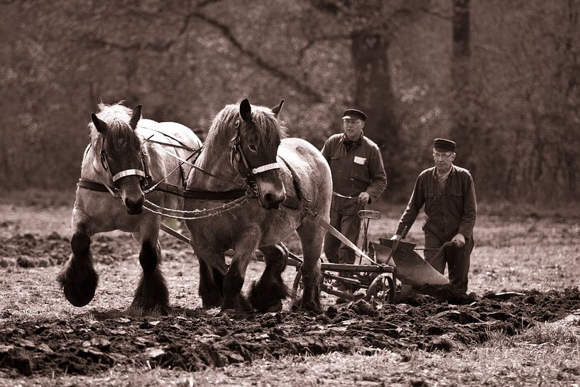zwaar werk by Babette Veenendaal