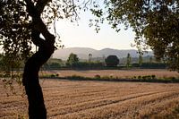 Countryside in Spain