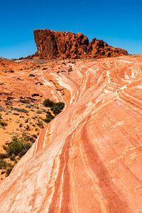 Rode zandsteenrotsen in de Valley of Fire in Nevada USA van Dieter Walther