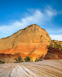 Checkerboard Mesa, Zion National Park, Utah von Henk Meijer Photography