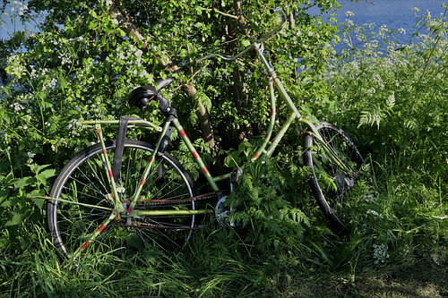 groen fietsen