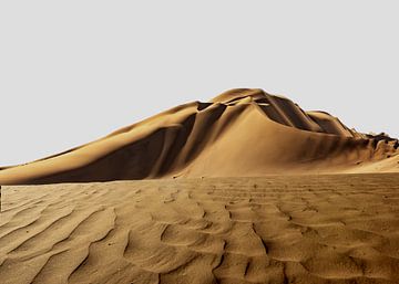 Die Düne aus Sand von Alex Neumayer