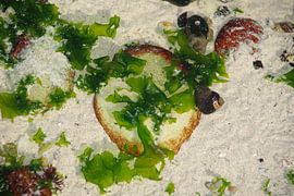 Natures Art Sea Pizza