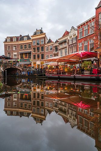 Leiden - Mirror on the Nieuwe Rijn with the fish bridge (0030)