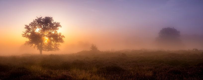 Misty sunrise in the Bakkeveen Dunes by Ton Drijfhamer
