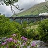 Glenfinnan viaduct aka 