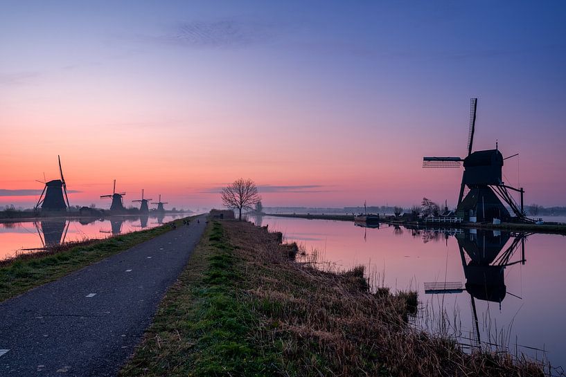 Windmolens in de ochtend van Maikel Brands