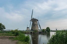 Kinderdeich, andere Ansicht als über das gesamte Feuchtgebiet