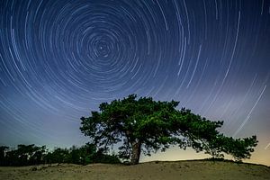 Star trail boven de Veluwe in de nacht van Sjoerd van der Wal Fotografie