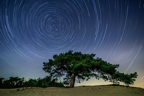 Star trail boven de Veluwe in de nacht