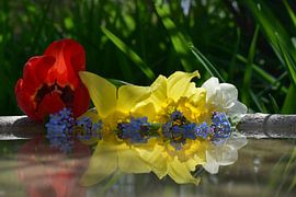 Blumen im Garten von Claude Laprise
