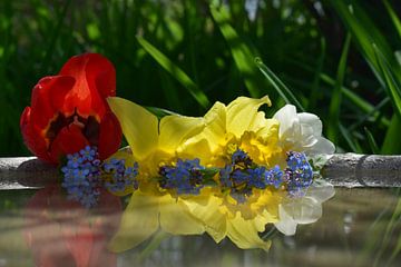 Flowers in the garden by Claude Laprise