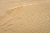 Sand on the beach by Johan Vanbockryck thumbnail