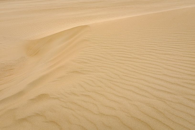 Sand on the beach by Johan Vanbockryck