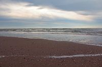 "Nahaufnahme am Strand der Maasvlakte.