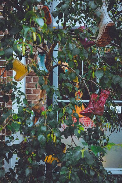 Kind Asche im Baum Deventer von Nicolette Suijkerbuijk