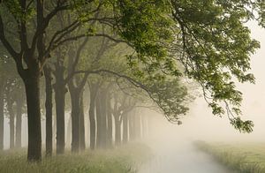 Mystische Atmosphäre im Beemster