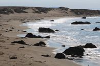 De eenzame zeeolifant - Highway 1 Verenigde Staten van Berg Photostore thumbnail