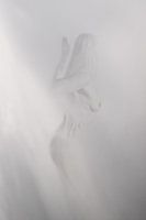 Weiblicher Akt im Lichternebel