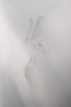 Vrouwelijk naakt in de mist van licht van Vincent van Thom
