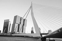 Erasmusbrug Rotterdam