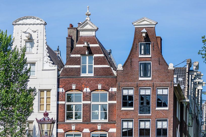 Typische Amsterdamse huizen aan de gracht van Jan van Dasler
