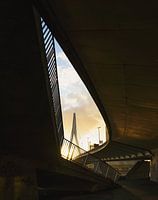 Erasmus Bridge in Framework - Light and Architecture