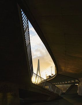 Erasmusbrug in Kader – Licht en Architectuur van Hendrik Karremans