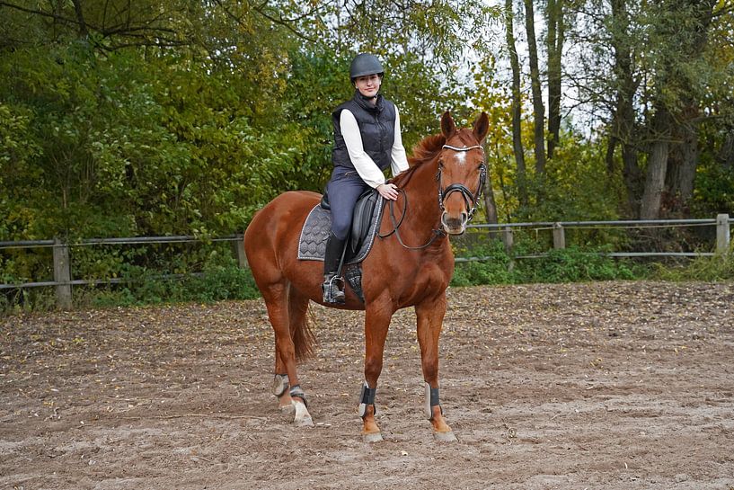 Training with the bay Oldenburg mare on a riding arena by Babetts Bildergalerie
